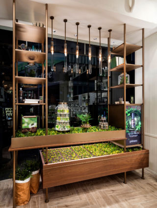 Captivating 'seedling' and ingredients display at Primera skincare's Seoul store