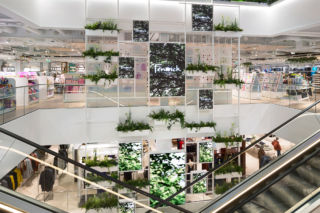 We love the combination of a living wall with dynamic digital screens, which change throughout the day from ambient to campaign content in Fewnwick's Bracknell Store