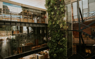 In Mercato Gentiloni, they have created a series of culinary experiences across several floors with a bountiful living wall in the cenral atrium