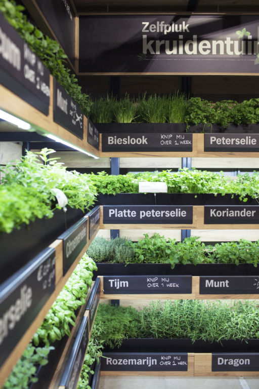 Albert Heijn Herb Garden, Purmerend, Netherlands | Echochamber