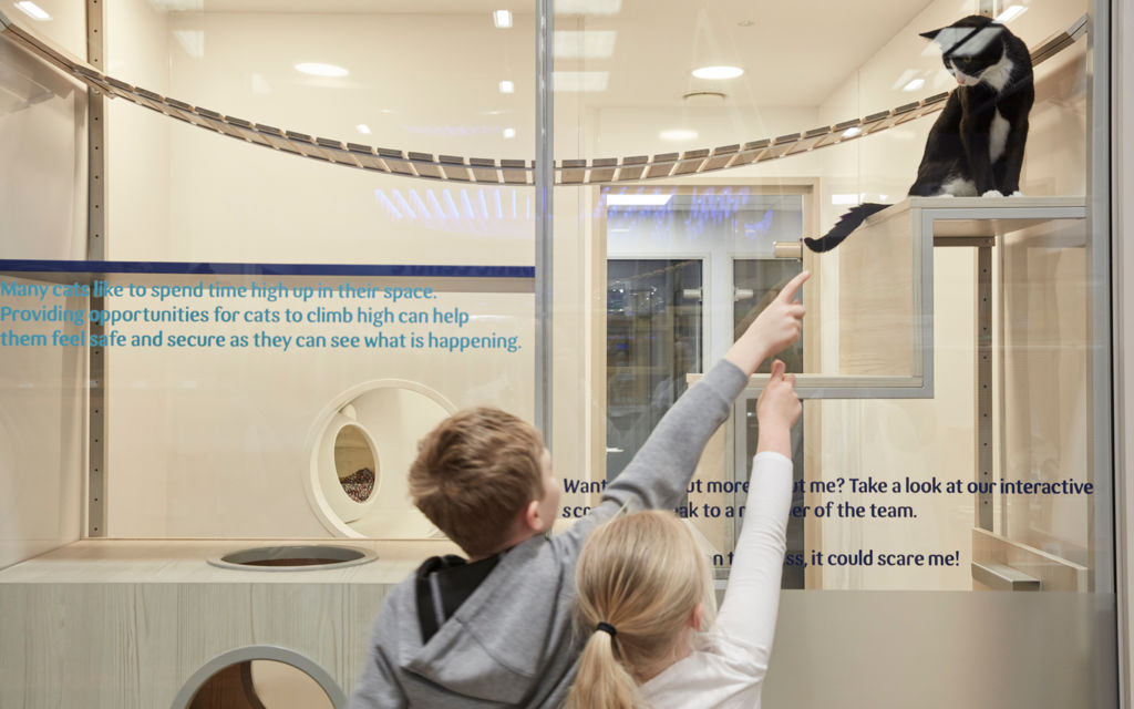 Pets at Home, Stockport Echochamber