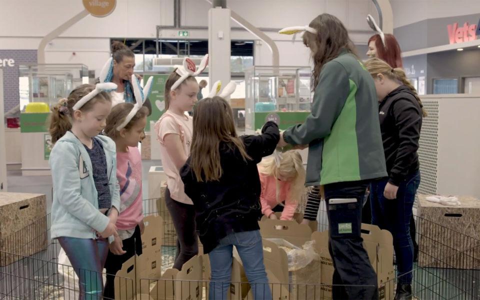 Pets at Home, Stockport Echochamber