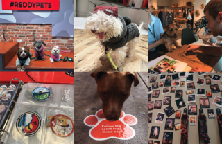 Pets pose in their new and customised clothes on the Insta podium, with polaroids displayed on the community wall. They'll also host events such as opportunities to have pet portraits drawn.