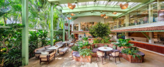 The cafe completes the offer with a lush forest setting complete with real cacao trees and plants. Photo Pankaj Anan