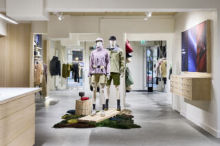 Charming and creative visual natural displays elevates the space